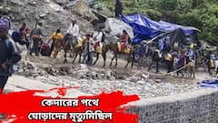 Kedarnath Yatra : কেদারযাত্রার পথে বিপর্যয়! একের পর এক ঘোড়ার মৃত্যু, ছড়াচ্ছে  ভয়ঙ্কর রোগ?