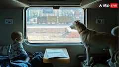 ट्रेन में किन जानवरों को साथ लेकर जा सकते हैं आप? जान लीजिए क्या हैं नियम