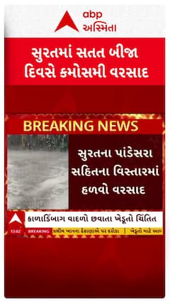 Surat Rain : સુરત જિલ્લામાં સતત બીજા દિવસે કમોસમી વરસાદ, જુઓ શોર્ટ વીડિયો