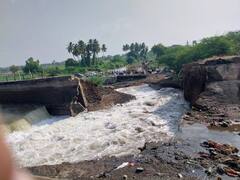 Malshiras News : नीरा उजवा कॅनल फुटला, लाखों लीटर पाणी वाया; आधीच दुष्काळाचे सावट, त्यात प्रशासनाचा गलथान कारभाराची भर