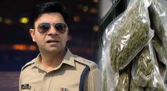 बीडचे पोलीस अधीक्षक नवनीत कॉवतांच्या घरात धक्कादायक प्रकार, आत पाऊल ठेवताच गांजाचा दर्प नाकात शिरला अन्...