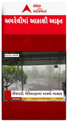 Amreli Unseasonal Rains: અમરેલીમાં આકાશી આફતથી ખેડૂતો થયા બરબાદ
