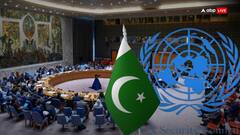 फॉल्स फ्लैग नैरेटिव, न्यूक्लियर वॉर और लश्कर... क्लोज डोर मीटिंग में पाकिस्तान को जमकर लगी लताड़, UNSC ने पूछे कड़े सवाल