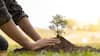 World Environment Day On June 5, Remove Graha Dosha By Planting These Sacred Plants