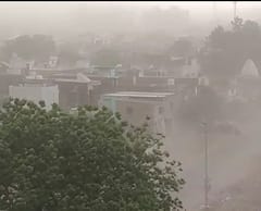 Rain Update:કમોસમી વરસાદે સર્જી તારાજી, 53 તાલુકામાં ગાજવીજ, ભારે પવન સાથે ધોધમાર વરસ્યો વરસાદ