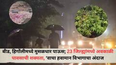 बीड, हिंगोलीमध्ये मुसळधार पाऊस; 23 जिल्ह्यांमध्ये अवकाळी पावसाची शक्यता, 'वाचा हवामान विभागाचा अंदाज