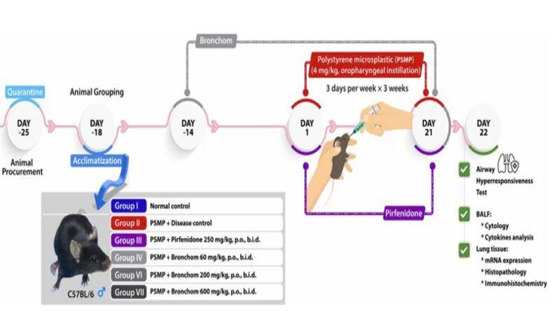 ਫੇਫੜਿਆਂ ਦੀਆਂ ਬਿਮਾਰੀਆਂ 'ਤੇ ਪਤੰਜਲੀ ਦੀ ਖੋਜ ਵਿਸ਼ਵ ਪ੍ਰਸਿੱਧ ਜਰਨਲ 'ਚ ਛਪੀ, ਕੰਪਨੀ ਦਾ ਦਾਅਵਾ - 'Bronchom' ਨਾਲ ਇਲਾਜ ਸੰਭਵ