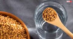 ਫਾਇਦਾ ਨਹੀਂ ਨੁਕਸਾਨ ਵੀ ਪਹੁੰਚਾਉਂਦਾ ਮੇਥੀ ਦਾ ਪਾਣੀ, ਇਨ੍ਹਾਂ ਲੋਕਾਂ ਨੂੰ ਵੀ ਹੁੰਦਾ ਨੁਕਸਾਨ