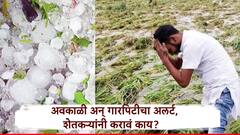 अवकाळीसह गारपिटीचा तडाखा, मराठवाड्यात बळीराजावर पुन्हा संकट, आठवडाभरात काय शक्यता? शेतकऱ्यांनी काय करावे?