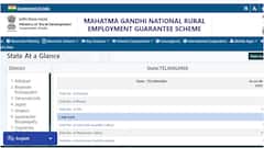 ఉపాధి హామీ సిబ్బందికి శుభవార్త.. నాలుగు నెలల జీతాలు విడుదల చేసిన ప్రభుత్వం