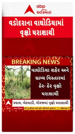Strong dust storm hits Vadodara : વડોદરાના વાઘોડિયા પંથકમાં તોફાની પવને સર્જી તારાજી