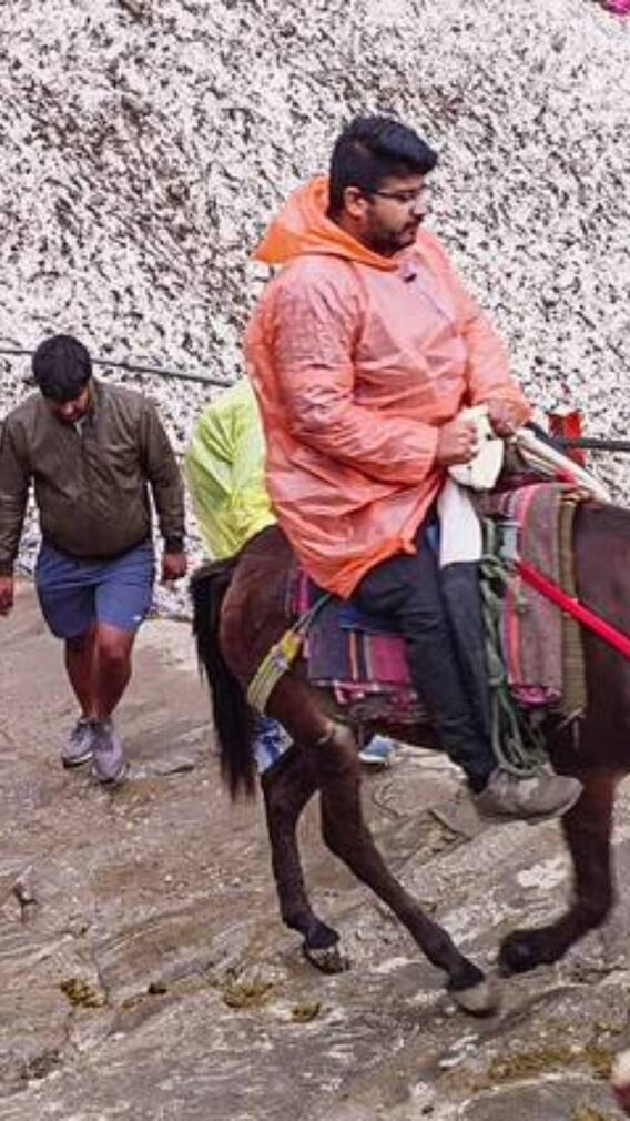 केदारनाथ में 14 घोड़े-खच्चरों की संदिग्ध मौत, 24 घंटे के लिए सेवा संचालन पर रोक