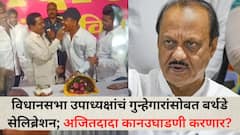 गुन्हेगारांसोबत फोटो व्हिडीओवरून पक्षाच्या अध्यक्षांची तंबी; विधानसभा उपाध्यक्ष अण्णा बनसोडेंचं गुन्हेगारासोबत बर्थडे सेलिब्रेशन, आता अजितदादा कानउघाडणी करणार?