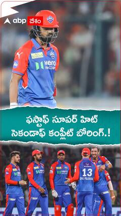 Delhi Capitals Performance In IPL 2025