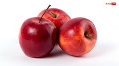 लिवर से जिद्दी चर्बी को बाहर निकाल फेकेंगे ये 5 फल, कुछ ही दिनों में दिखेगा असर