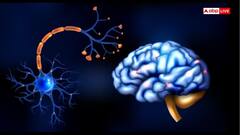 इन लक्षणों से समझ जाएं ब्रेन की नसें हो रही हैं खराब, संकेत दिखते ही हो जाएं सतर्क