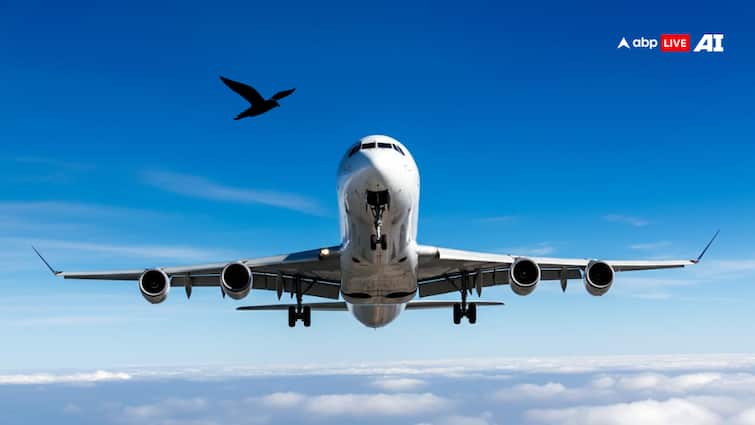 Flight With 227 Passengers Onboard Makes Emergency Landing At Srinagar Airport Amid Hailstorm