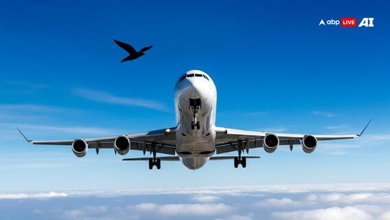 Flight With 227 Passengers Onboard Makes Emergency Landing At Srinagar Airport Amid Hailstorm