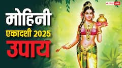 Mohini Ekadashi 2025 Upay: मोहिनी एकादशी कल, कर लें यह उपाय बरसेगी लक्ष्मी जी के साथ विष्णु जी की भी कृपा
