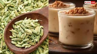 गर्मी में पिएं गोंद कतीरा और सौंफ का पानी, हीट स्ट्रोक से लेकर ब्लड प्रेशर रहेगा कंट्रोल