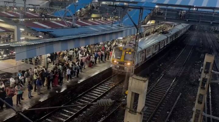 सकाळपासून ही पावसाच्या अधूनमधून जोरदार सरी बरसत होत्या. अवकाळी पावसामुळे वसई विरारमध्ये अनेक झाडं उन्मळून पडली आहेत. तर वसईच्या बागायतीचंही नुकसान झालं आहे.