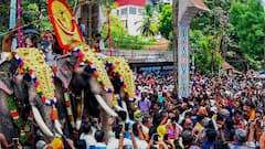 Thrissur Pooram Concludes Successfully With Grand Spectacle, Says Kerala CM Vijayan