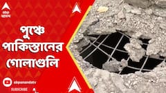 Operation Sindoor: পুঞ্চে পাকিস্তানের গোলাগুলি, পাল্টা জবাব ভারতীয় সেনার। নিরাপত্তার কড়াকড়ি