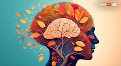 वैज्ञानिक पुराव्यांमुळेच आयुर्वेदाची विश्वासार्हता पूर्ववत; संशोधनामुळे जगभरात वाढला विश्वास