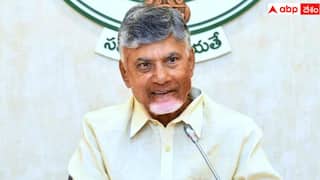 AP Cabinet Meeting: నేడు ఏపీ కేబినెట్ భేటీ, ఆపరేషన్ సిందూర్ సహా మంత్రివర్గం చర్చించే అంశాలివే