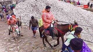 Chardham Yatra 2025: केदारनाथ यात्रा के पैदल मार्ग पर घोड़े-खच्चर मिलेंगे या नहीं? सामने आई ये अपडेट