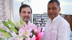 राज्यसभा सांसद अखिलेश सिंह को मिली नई जिम्मेदारी, कांग्रेस वर्किंग कमेटी में हुए शामिल