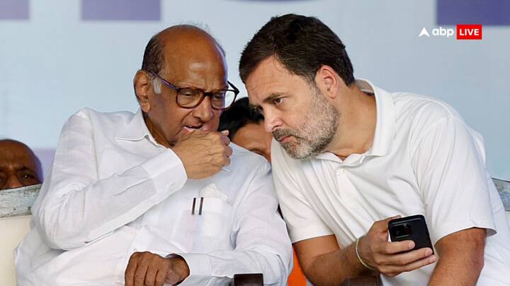 Sharad Pawar on Rahul Gandhi: शरद पवार ने राहुल गांधी के बारे में कहा कि ये जरूरी है कि वो जमीन पर और ज्यादा आक्रामक तरीके से काम करें.