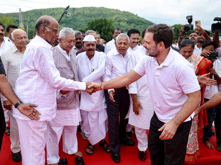 एनसीपी के संस्थापक ने जोर दिया कि ये सिर्फ राहुल गांधी नहीं बल्कि पूरे विपक्ष के लिए जरूरी है. (फाइल फोटो)