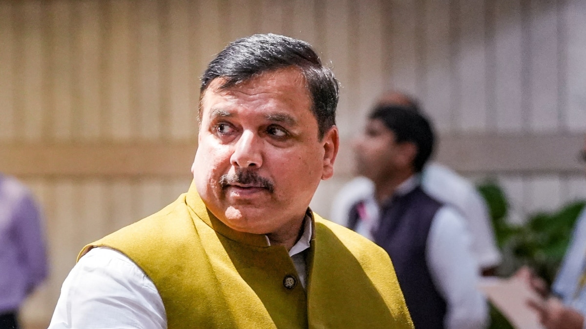 संजय सिंह का दावा, ‘अमृतसर और होशियारपुर में पाकिस्तान ने मिसाइल दागने की कोशिश की, लेकिन…’