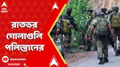 Operation Sinddor: নিয়ন্ত্রণরেখা বরাবর রাতভর গোলাগুলি পাকিস্তানের, পাল্টা জবাব ভারতের
