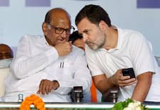 राहुल गांधी की क्षमता पर शरद पवार बोले,  'वो कड़ी मेहनत करते हैं लेकिन कुछ बड़ा करने के लिए...'