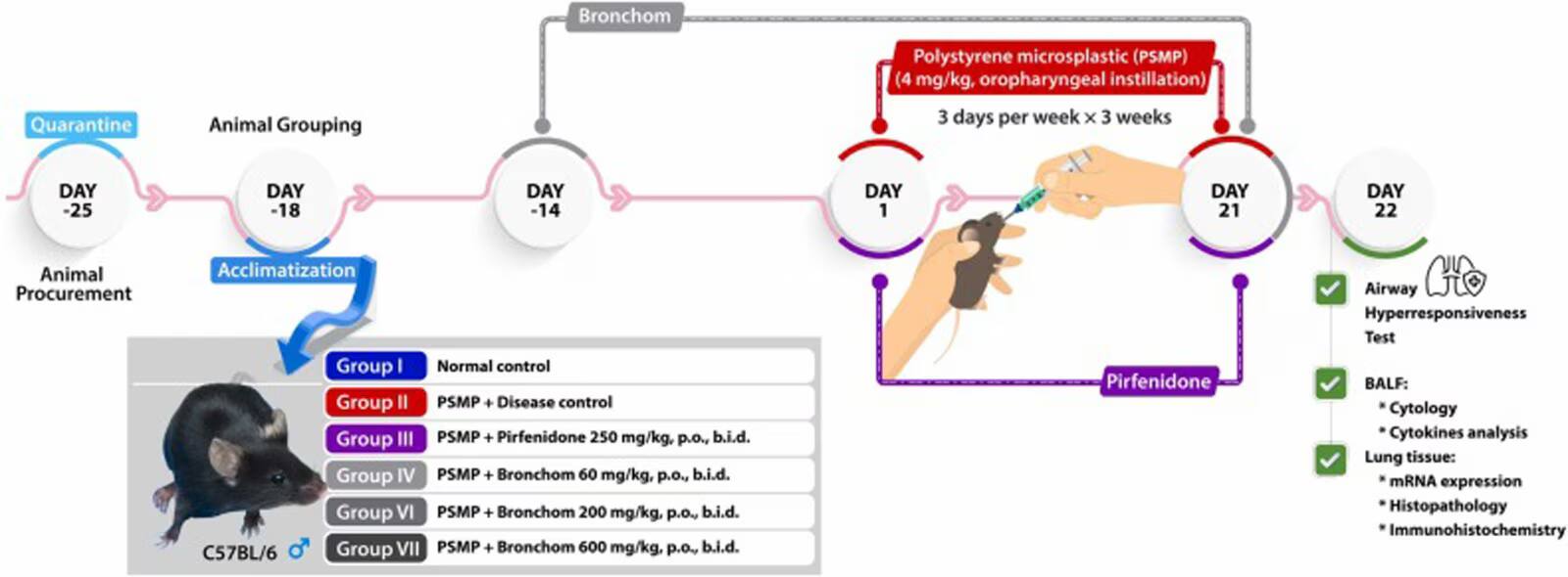 Patanjali : ఊపిరితిత్తులకు పెనుముప్పుగా మైక్రోప్లాస్టిక్స్ - నివారణ కోసం బ్రాంకో ఔషధం - పతంజలి ప్రకటన