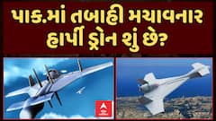 Harpy Drone:  પાકિસ્તાનમાં તબાહી મચાવનાર હાર્પી ડ્રોન શું છે?