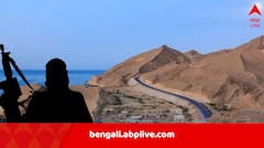 বালুচিস্তানে পাক সেনার কনভয় উড়িয়ে দিল BLA, প্রাণ গেল ১২ জওয়ানের, জোর ধাক্কা খেল শেহবাজ সরকার