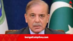 Shehbaz Sharif: ‘প্রত্যেক ফোঁটা রক্তের শোধ তুলব, কাশ্মীরে গণভোট না হওয়া পর্যন্ত…’, হুঁশিয়ারি পাক-প্রধানমন্ত্রী শেহবাজ শরিফের