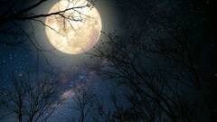 Vaishakh Purnima 2025: 12 मे ची वैशाख पौर्णिमेची शक्तिशाली रात्र! मनासारखं यश मिळण्यासाठी 'हे' उपाय एकदा करा, पैशांची कमतरता नसेल