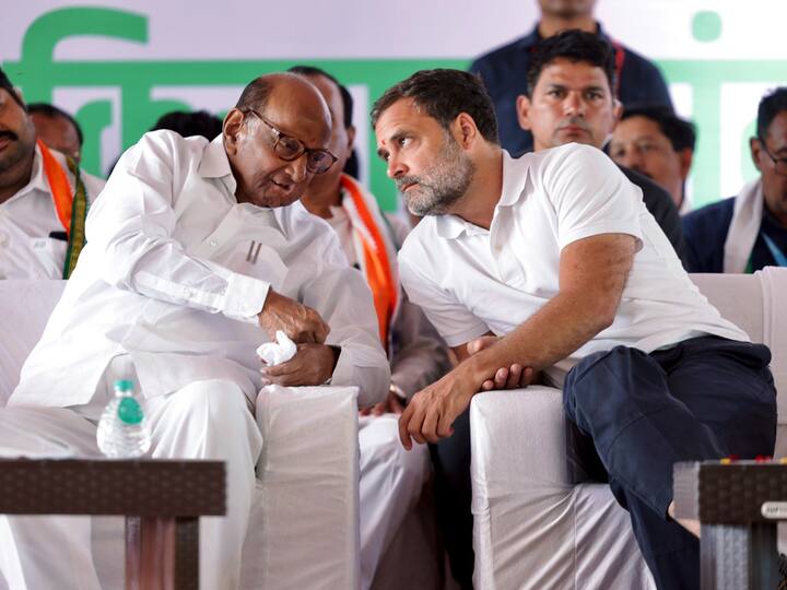 शरद पवार ने लोकसभा में नेता प्रतिपक्ष राहुल गांधी की तारीफ करते हुए कहा कि वो कड़ी मेहनत करते हैं. इंडियन एक्सप्रेस से राहुल गांधी के नेतृत्व क्षमता से जुड़े सवाल का जवाब देते हुए उन्होंने ये बात कही. (फाइल फोटो)