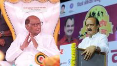 मोठी बातमी : आम्ही विचाराने एकच, दोन्ही राष्ट्रवादी एकत्र आल्यास आश्चर्य वाटणार नाही, शरद पवारांनी पत्ता टाकला!