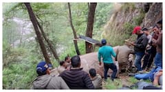 Four Tourists Killed As Chopper Crashes In Uttarakhand