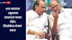 शरद पवार मोठे नेते, त्यांच्या अनुभवाचा सरकारला फायदा होईल, शिवसेना शिंदे गटाच्या मंत्र्याचं मोठं वक्तव्य 