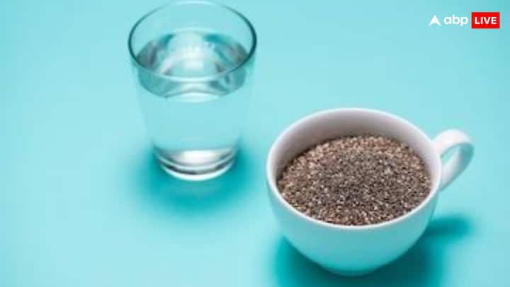 आजकल अधिकतर लोग अपनी वेट लॉस जर्नी में चियाH सीड्स को जरूर शामिल करते हैं और उसे दूध, दही, सलाद में मिलाकर खाते हैं. लेकिन चिया सीड को कई चीजों के साथ मिलाकर खाना नेगेटिव इंपैक्ट भी डाल सकता है.