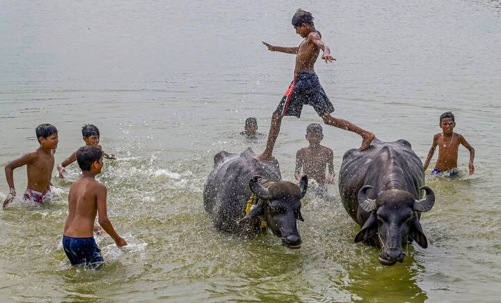 শুক্রবার থেকে তাপমাত্রা বাড়তে পারে। উত্তরবঙ্গের নিচের দিকে জেলাগুলিতে শুষ্ক আবহাওয়া। রবিবারের মধ্যে সর্বোচ্চ তাপমাত্রা তিন থেকে পাঁচ ডিগ্রি সেলসিয়াস বাড়তে পারে বলে অনুমান আবহাওয়া দফতরের।