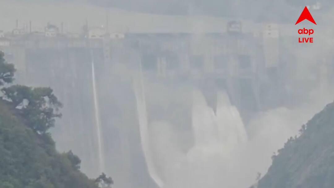 Indus Waters Treaty: জম্মু-কাশ্মীরে ভারী বর্ষণের জের, বাগলিহার বাঁধের গেট খুলল ভারত Indus Waters Treaty: India opens two gates at Baglihar Dam on Chenab river days after shutting them Indus Waters Treaty: জম্মু-কাশ্মীরে ভারী বর্ষণের জের, বাগলিহার বাঁধের গেট খুলল ভারত