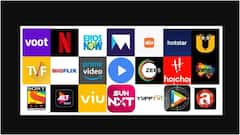 పాకిస్తాన్ కంటెంట్ బ్యాన్ చేయండి... మన దేశంలో చూపించడానికి వీల్లేదు... ఓటీటీలకు భారత ప్రభుత్వం హుకుం