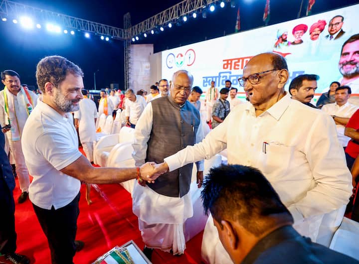 शरद पवार ने अपनी राय देते हुए कहा कि मैं सिर्फ इतना कहना चाहूंगा कि जरूरत है कि वो (राहुल गांधी) और ज्यादा आक्रामक होकर जमीन पर काम करें.